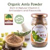 Nutranix Nutranix ads Amla Powder (Indian Gooseberry/Emblica Officinalis/Amla Churna)-100 Gm