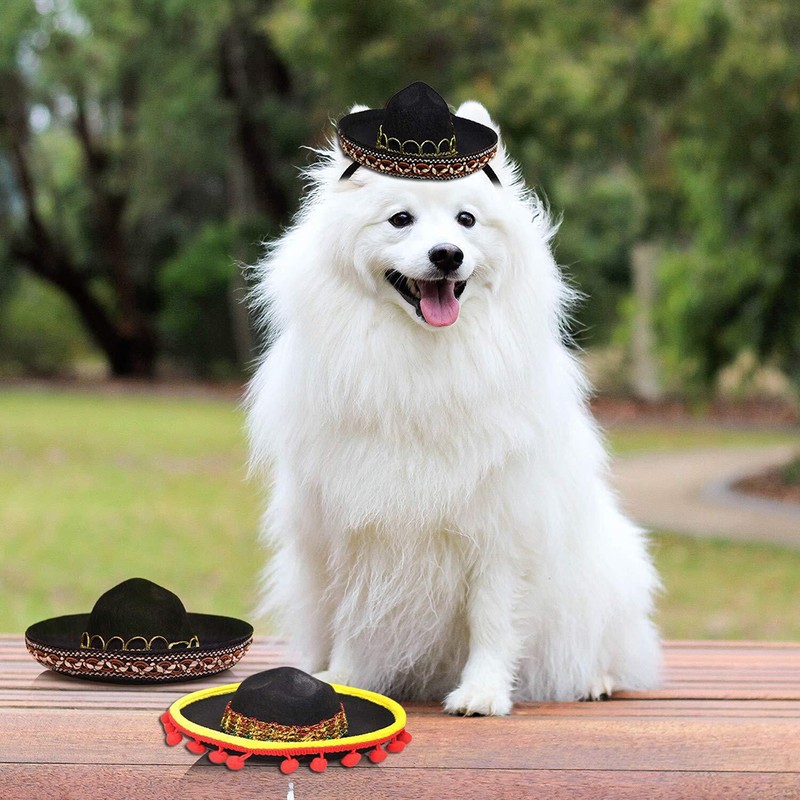 3 Pack Cinco De Mayo Fiesta Headbands Party Decorations Non
