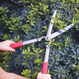 Corona HS15150 ClassicCUT Hedge Shears, 10-Inch, Red