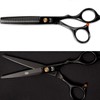 Entry-Level Hair Scissors: Thinning Shears & Cutting Scissors for Hairdressers and Home Use Thinning Shears