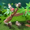 4Pcs Artificial Birds Vivid Looking Real Bird Photo Props with