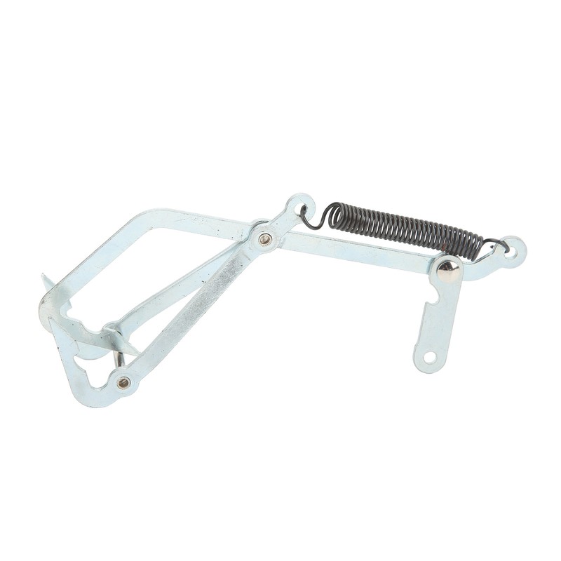 10pcs Stainless Steel Crab Grabber Rustproof Seafood Grabber with Spring
