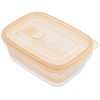 Iwasaki Industries Boiled Uma Vegetable Cooking, Square Shape, 3.6 fl