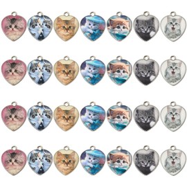 SUNNYCLUE 1 Box 28Pcs 7 Styles Cat Heart Charms Pet Photo Charm Antique Silver Alloy White Blue Gray Small Kitten Animal Pendants for Jewelry Making Findings Crafts DIY Bracelet Necklace Earring Women