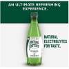 Perrier Maison Perrier Ultimate Sparkling Water 16.9 Fl Oz 6