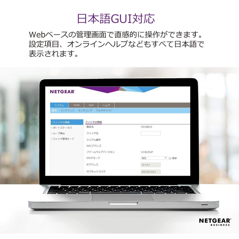Netgear Switching Hub, Group 2