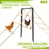 Briwooody 17×20inch Wood Chicken Perch with Swing Rustproof Metal Ground