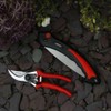 Wilkinson Sword 1111295WG Folding Saw and Pruner Set