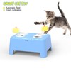 PUHOHUN Cat Toys for Indoor Cats Adult - Silent Interactive