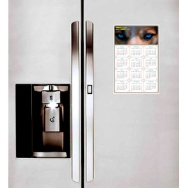 2025 Peel & Stick Calendar - Today is my Lucky Day - Removable, Repositionable (Fade, Tear, Water Resistant, Remove & Reuse) - Dogs 03 (12"x 8")