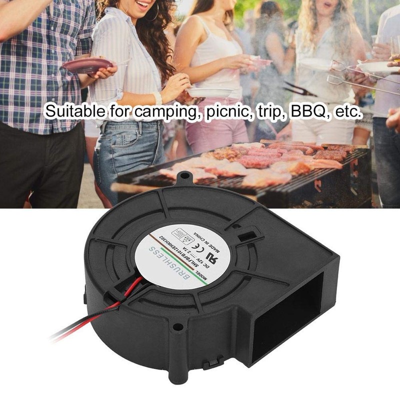 BBQ Fan, DC 12V Portable Electric Air Blower for Barbecue