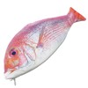 GJTr Fish Pen Case, Pencil Case, Makeup Pouch, Accessory, Case,