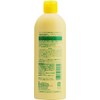 Realistic Additive-free Age Hair Treatment, 10.1 fl oz (300 ml)