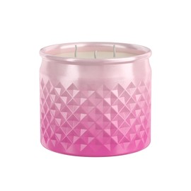 Candle-Lite Christmas Scented Candles, Mistletoe & Berries Scent, 10 oz 3-Wick Jar Candle, 40 Hours Burn Time, Perfect for Holiday Gifting and Celebration