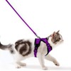 Cat Harness with Lead, Escape Proof Cat Lead Set, Adjustable,