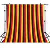 Cartoon Mouse Birthday Backdrop, Striped Photography Background, 6x6ft