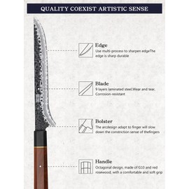 HOSHANHO 7 Inch Fillet Knife, Razor Sharp Hand Forged Boning Knife, Japanese Super Steel Fish Knives with Ergonomic Handle for Meat and Poultry