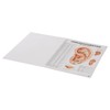 Acupuncture of Man Mini Poster Booklet Anatomy 34 x 24