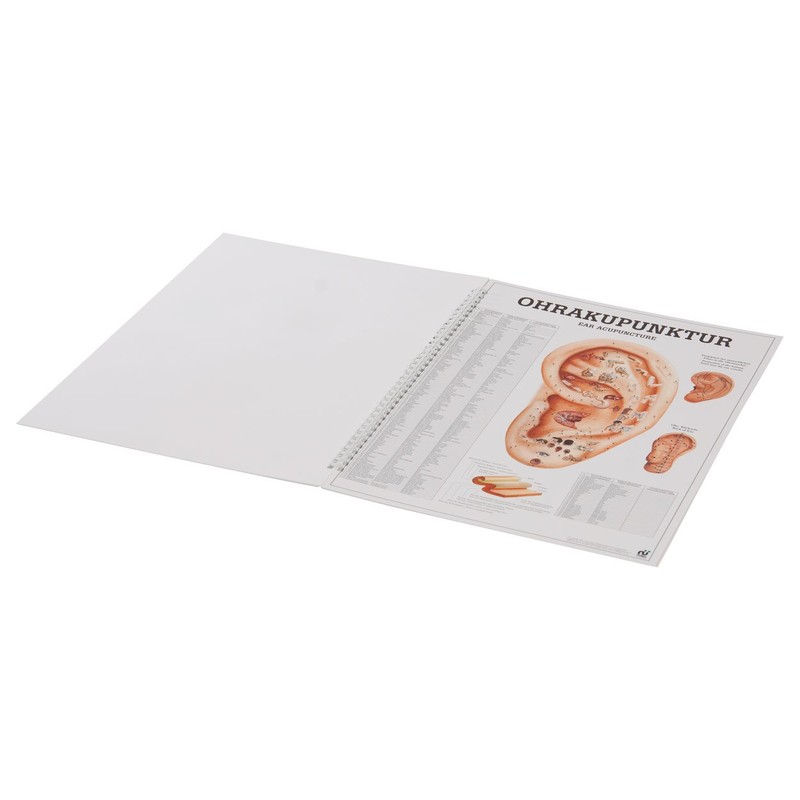 Acupuncture of Man Mini Poster Booklet Anatomy 34 x 24