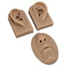 3D Nose and Mouth Model Silicone Ear Model Simulation Display