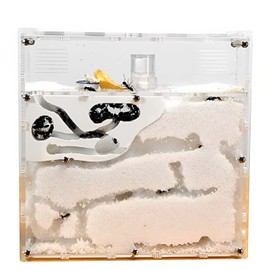 MIMIA Ant Nest Observation Kit (Sands and Ants Sold Separately), Ants Breeding Kit, Breeding Case, Queen Ants, Yes, Ants