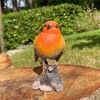 Selections GFJ356 Robin on a Tree Stump Garden Ornament
