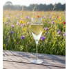 Ravenscroft Crystal Champagne Glass, Set of 4