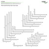 HEXIM Angle Profiles Unequiline White PVC Plastic Angle Selection Dimensions