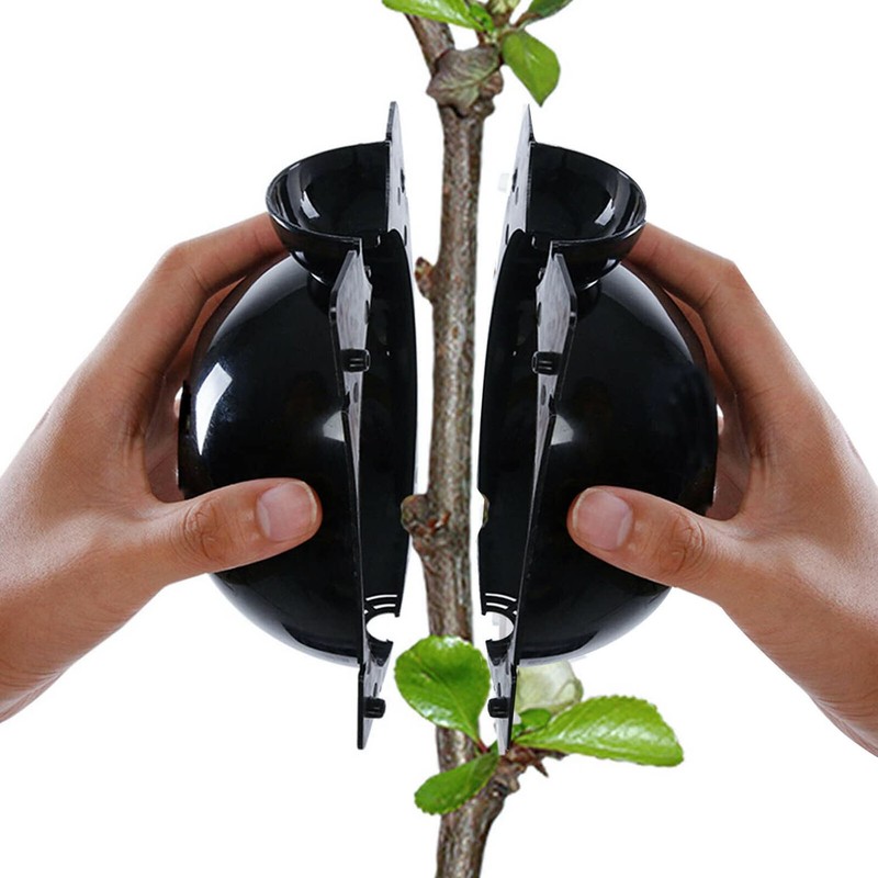 10Pcs Plant Rooting Device High Pressure Propagation Ball Root Grow