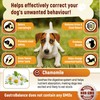 GastroBalance dog coprophagia relief – 100% natural ingredients coprophagia deterrent