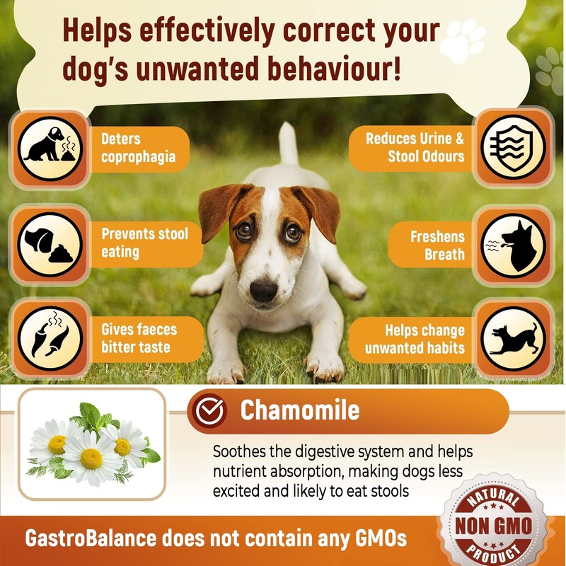 GastroBalance dog coprophagia relief – 100% natural ingredients coprophagia deterrent