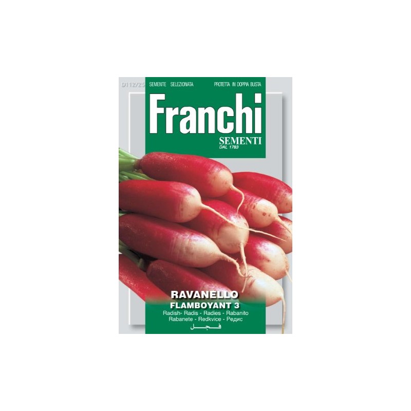 Franchi Radish Flamboyant