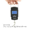 fishing scale digital scale fishing tackle hanging scale weight night