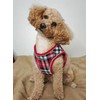 Bunty Dog Harness X-Small Dog - Lightweight Durable Design, Breathable