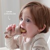 SAMiGO Baby Food Fruit Feeder and Breastmilk Popsicle Mold Set,