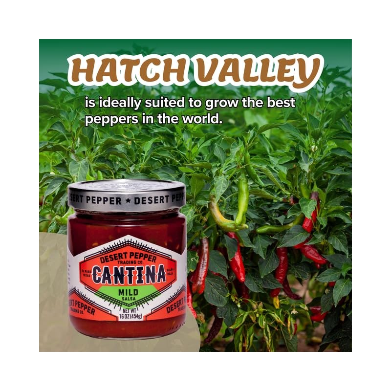Desert Pepper Trading Company Cantina Salsa, Mild Red, 16-Ounce (2-Pack)