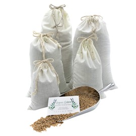 Organic Einkorn Whole Grain Farro Berries, USA Grown. Gluten Problems? Try Einkorn! Non-gmo. Original and Non-hybridized, Plastic-free Packaging (Einkorn Berries, 10 lb.)