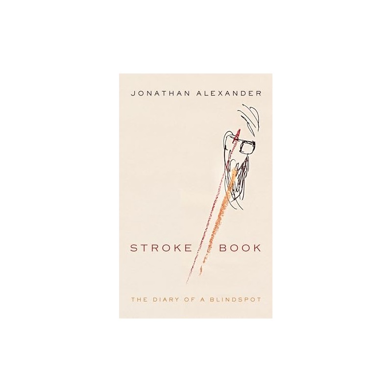Stroke Book: The Diary of a Blindspot