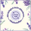 Le Petit Marseillais Shower Cream (250 ml), Lavender from the