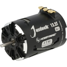 HOBBYWING JUSTOCK Black G2.1 brushless Motor for 1/10, 1/12, Zero Timing, Spec Racing (13.5T G2.1)