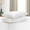 Gooeb Flat Bed Pillows Queen Size Set of 2 Soft