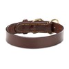Jack & Russell Peter Original Buffalo Leather Dog Collar Sturdy