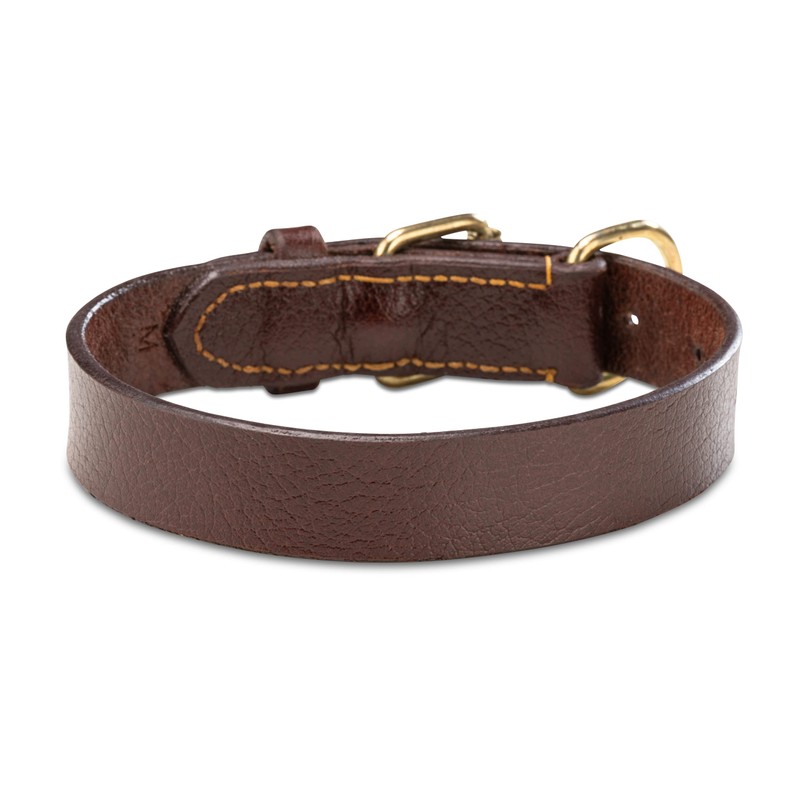 Jack & Russell Peter Original Buffalo Leather Dog Collar Sturdy