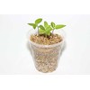 Premium Perlite and Vermiculite Blend for Seedling, Cuttings, and Propagation