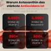 H4H Organic Super Astaxanthin - High Dose with 4x Better