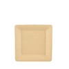PAPSTAR 86292 Disposable Plates Sugar Cane Plates Square Natural Pure
