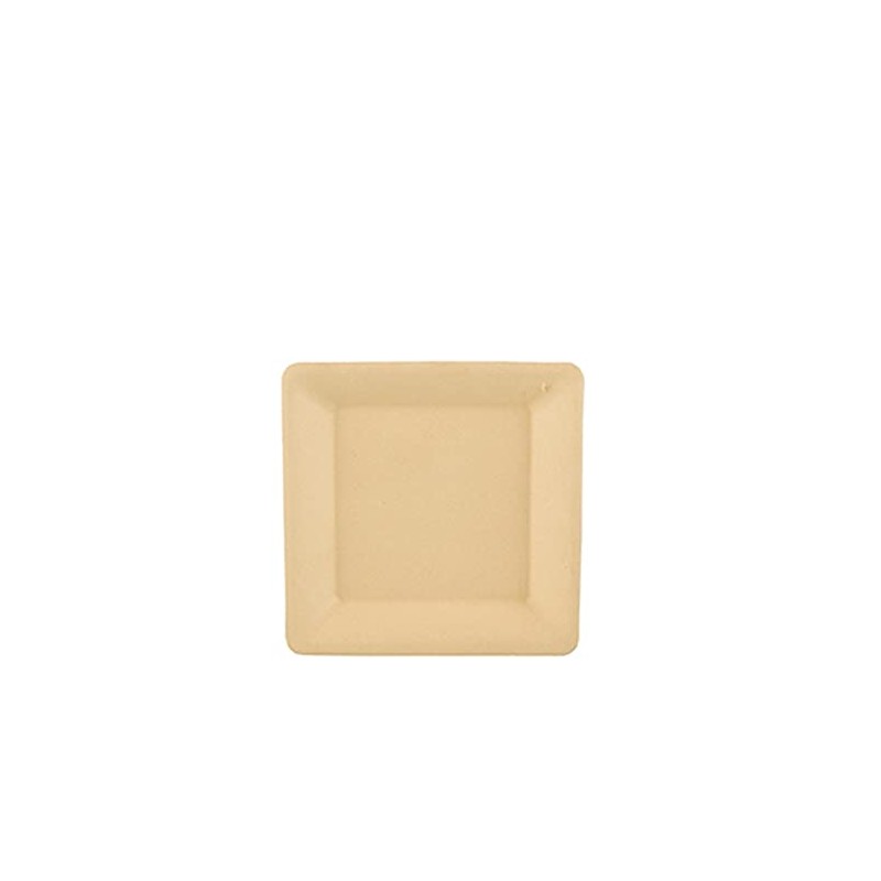 PAPSTAR 86292 Disposable Plates Sugar Cane Plates Square Natural Pure