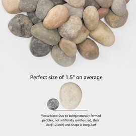 20 lbs Large River Stones1-2Inch Natural Pebbles for Garden Decoration, Fountains, Aquariums. Perfect for Erosion Control, Moisture Retention, and Creating Beautiful, Eco-Friendly Outdoor Spaces