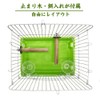 IYOIYA Bird Carrier, Small, Bird Cage, Small Size, Parakeet, Hospital