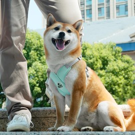 Patas Lague Dog Harness with Leash Adjustable Soft Padded Step-in Dog Vest No Choke No Pull Reflective for Small Medium Dogs with Poop Bags and Dispenser, Solid and No-chew, Green S